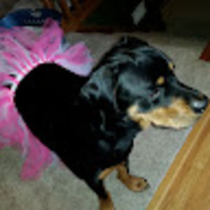 Meet your Posher, Jenn